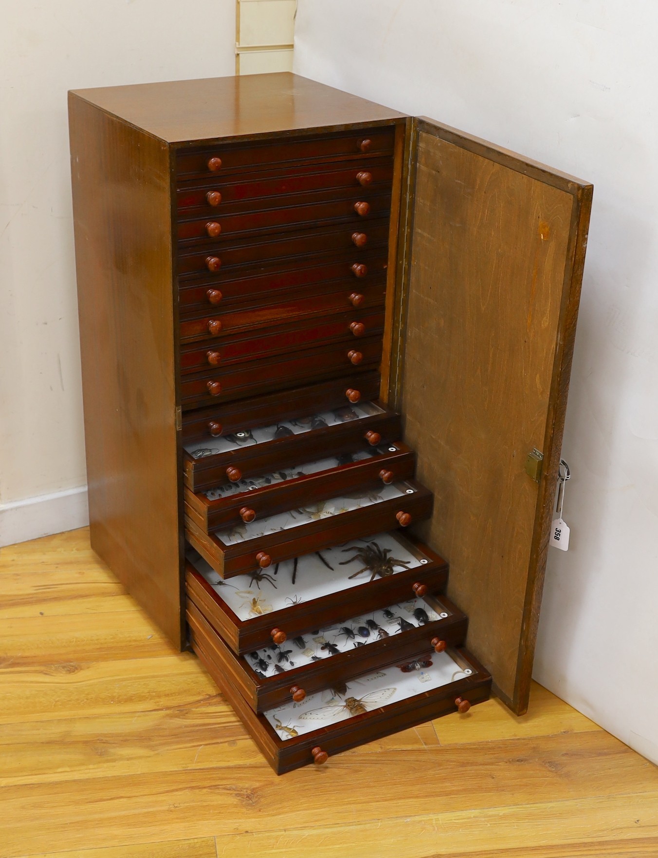 A private collection of Entomology, Taxidermy and Fossil Specimens, Lots 358 - 407., Entomology- a cabinet of World beetle, insect, carabid and arachnid specimens, in 16 drawers, 98 cm high, 46 cm wide